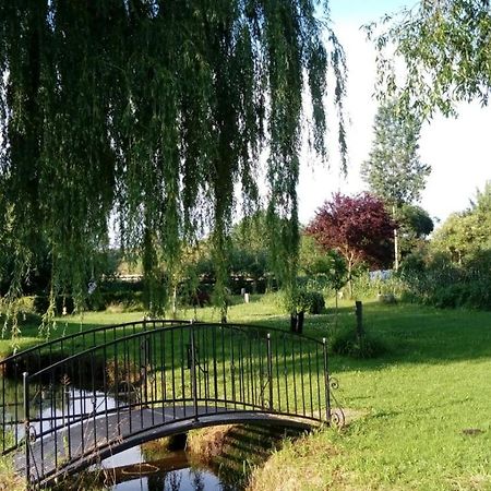 Auszeit Lägenhet Friedland  Exteriör bild