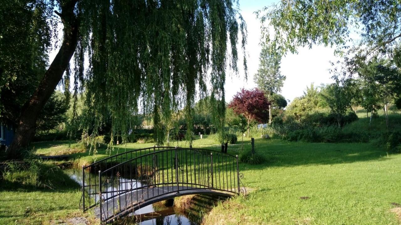 Auszeit Lägenhet Friedland  Exteriör bild