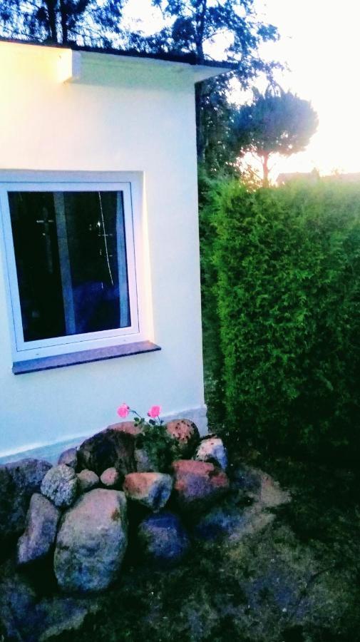 Auszeit Lägenhet Friedland  Exteriör bild