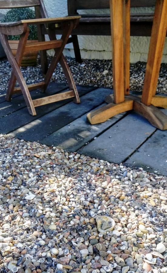 Auszeit Lägenhet Friedland  Exteriör bild